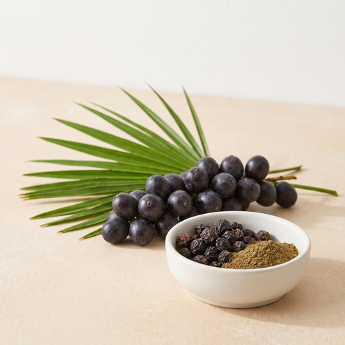 Saw Palmetto